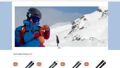 Screenshot of Non-Delivery scam website Rabattskisde.com