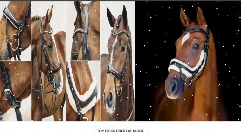 Screenshot of Non-Delivery scam website Rabattsports.com