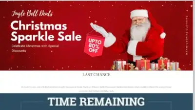 Screenshot of Non-Delivery scam website Rackonlinebag.com