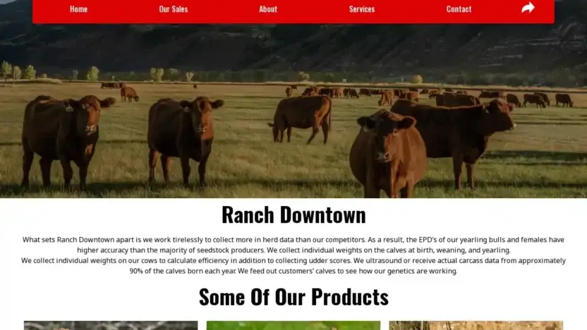 Screenshot of Non-Delivery scam website Ranchdowntown.com