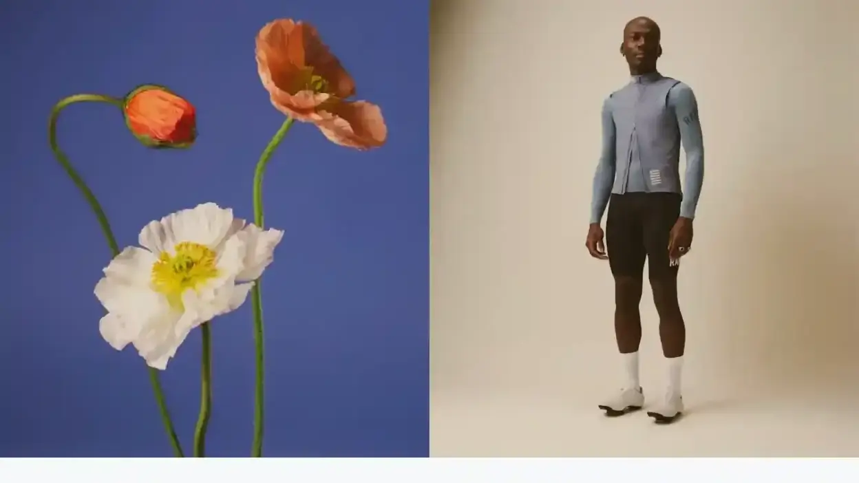 Screenshot of Non-Delivery scam website Raphaclub.top