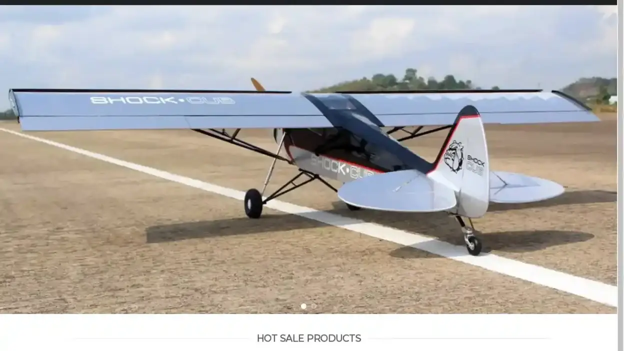 Screenshot of Non-Delivery scam website Rcseagull.com