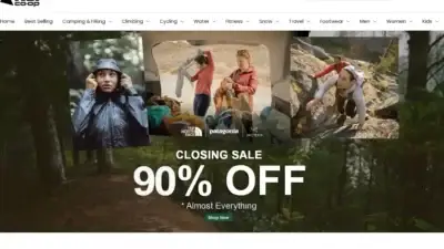 Screenshot of Non-Delivery scam website Reihugesale.com