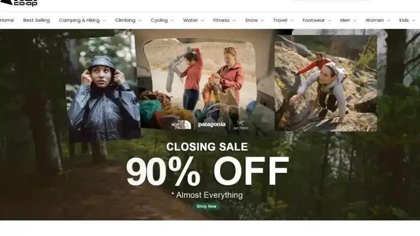 Screenshot of Non-Delivery scam website Reihugesale.com