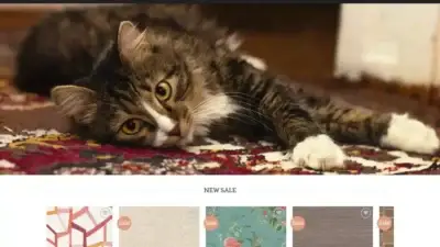 Screenshot of Non-Delivery scam website Retromural.com