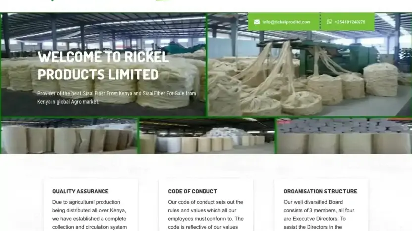 Screenshot of Non-Delivery scam website Rickelprodltd.com