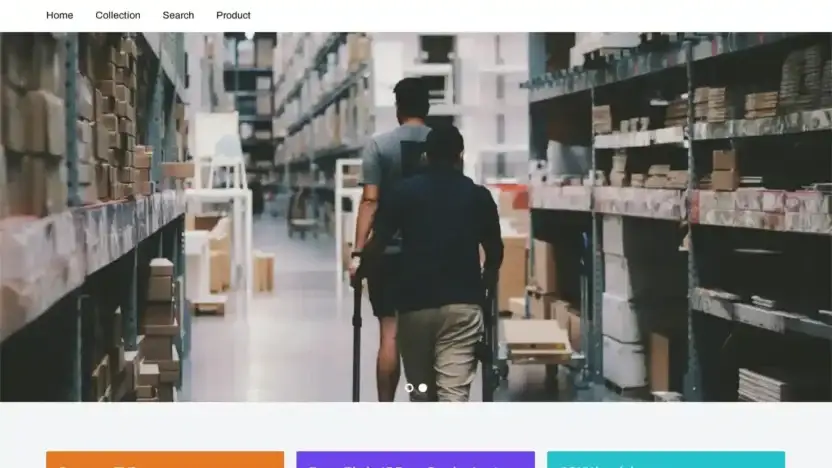 Screenshot of Non-Delivery scam website Riucoti.shop