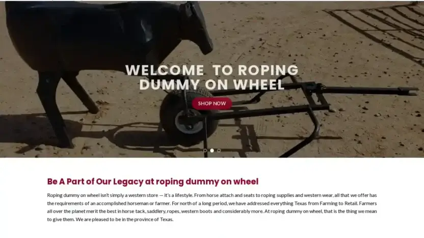Screenshot of Non-Delivery scam website Ropingdummyonwheel.com