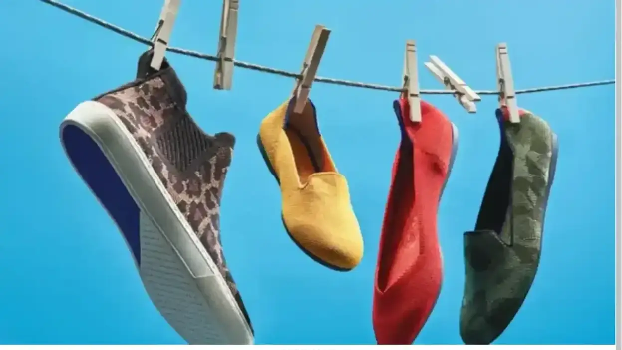 Screenshot of Non-Delivery scam website Rothys-us.shop