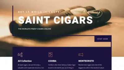 Screenshot of Non-Delivery scam website Saintcigars.com