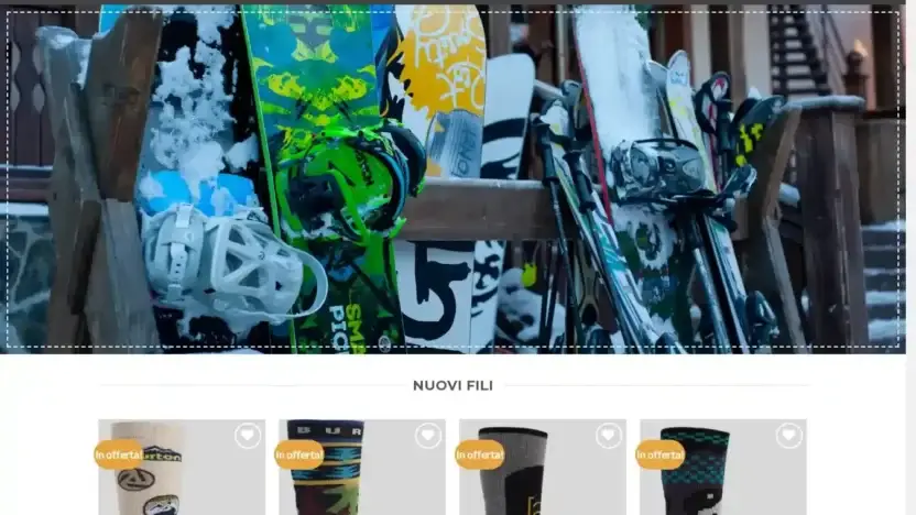 Screenshot of Non-Delivery scam website Saldiskiing.com