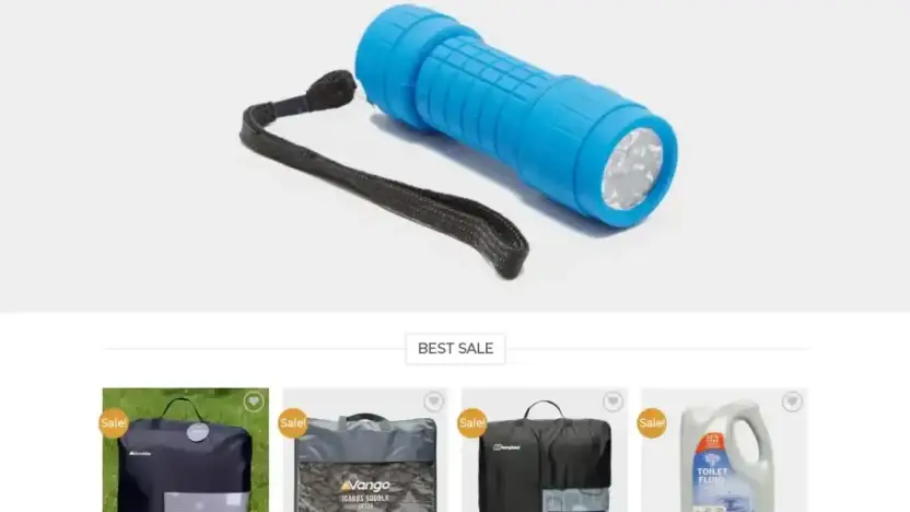 Screenshot of Non-Delivery scam website Salefishcamp.com