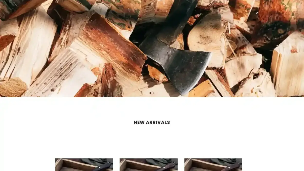 Screenshot of Sport scam website Saleusaccessories.com