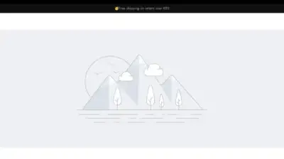 Screenshot of Non-Delivery scam website Salewonline.shop