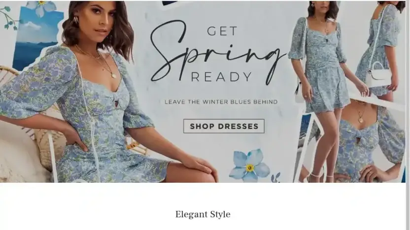 Screenshot of Non-Delivery scam website Salomesale.store