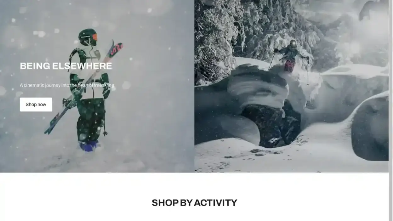 Screenshot of Non-Delivery scam website Salomonvip.top