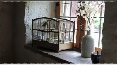 Screenshot of Non-Delivery scam website Scontopet.com