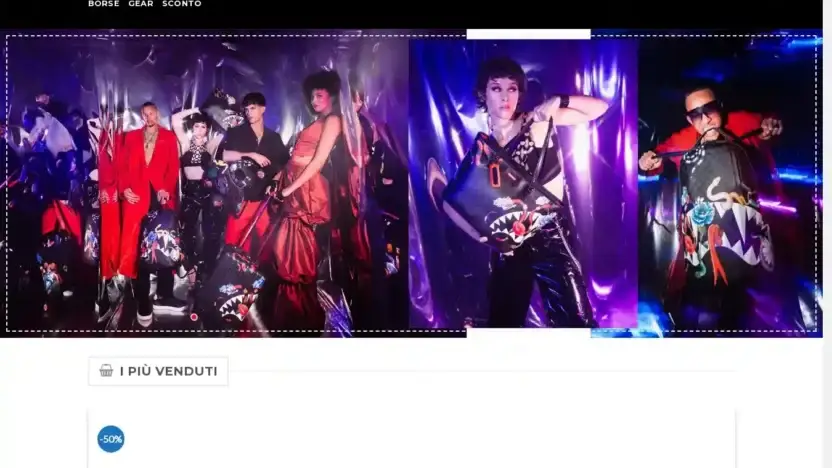 Screenshot of Non-Delivery scam website Scontozaini.com