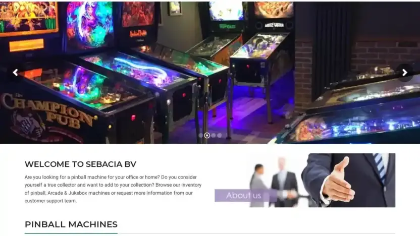 Screenshot of Non-Delivery scam website Sebacia-bv.com