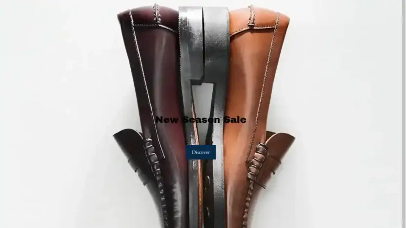 Screenshot of Non-Delivery scam website Sebagoshop.com