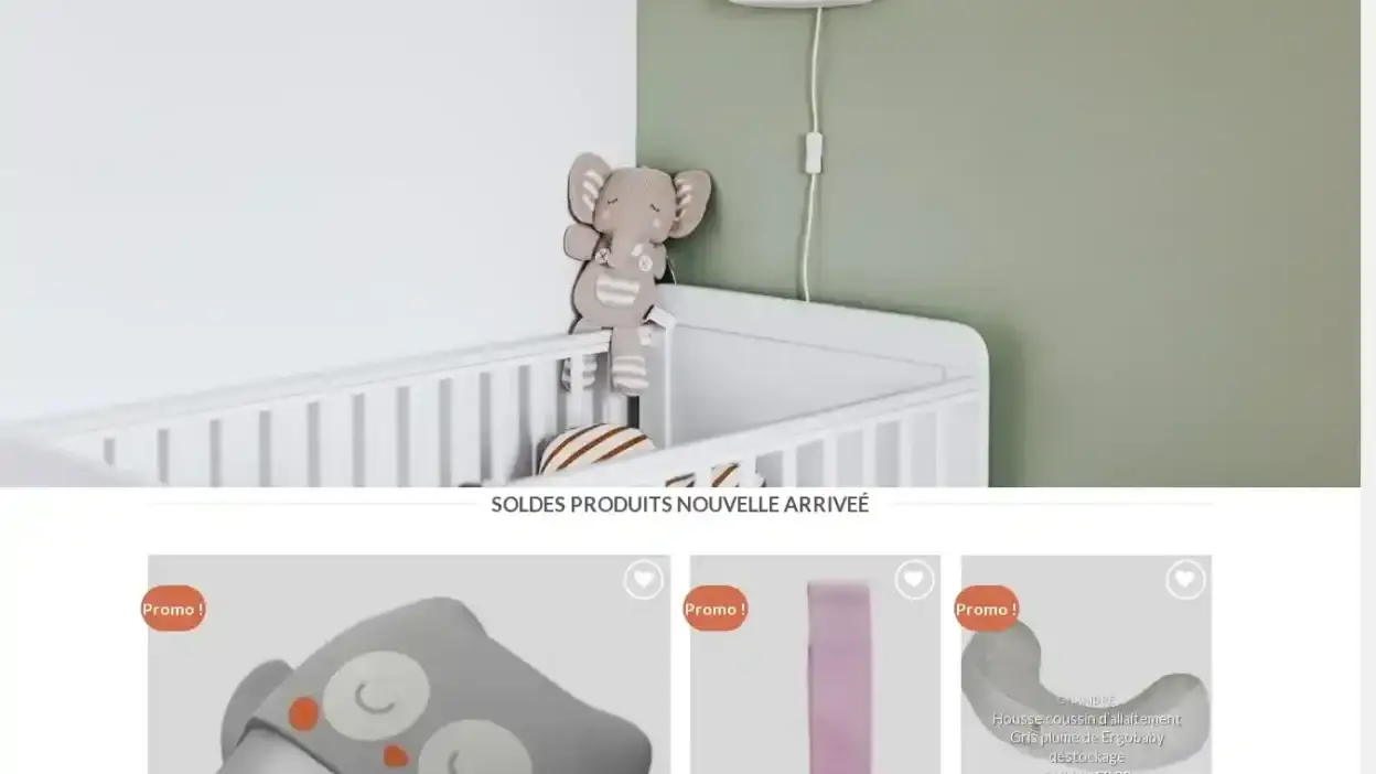 Screenshot of Non-Delivery scam website Securitebebefr.com