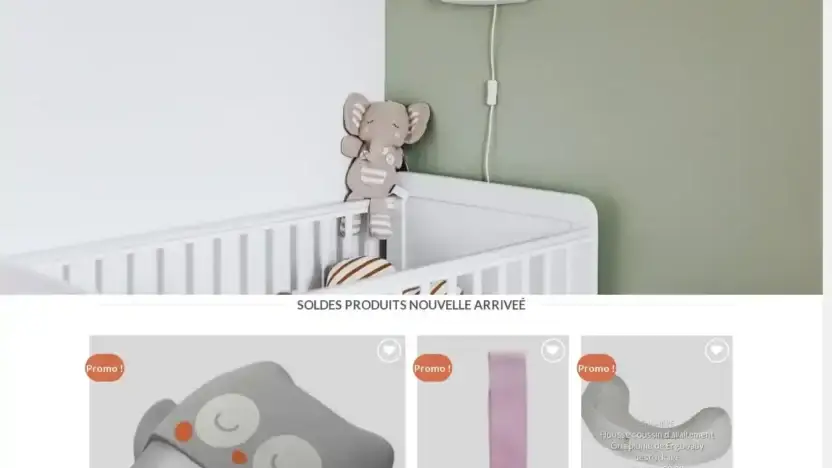 Screenshot of Non-Delivery scam website Securitebebefr.com