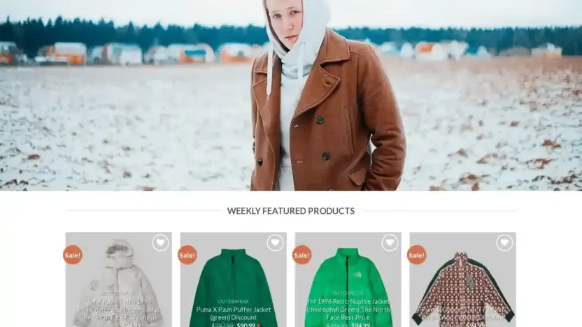 Screenshot of Non-Delivery scam website Sellerclothing.com