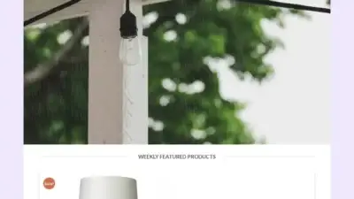 Screenshot of Non-Delivery scam website Serenitylamp.com