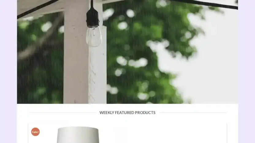 Screenshot of Non-Delivery scam website Serenitylamp.com