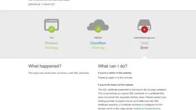 Screenshot of Non-Delivery scam website Shaperugs.com
