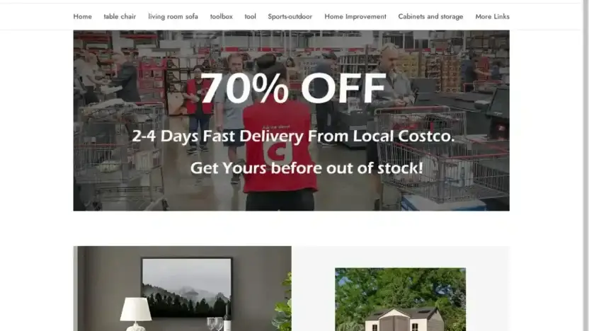 Screenshot of Non-Delivery scam website Sheedyi.site