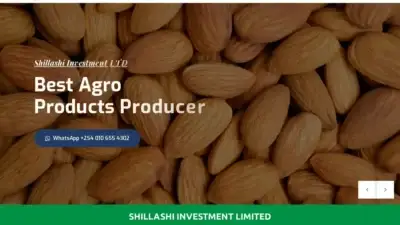 Screenshot of Non-Delivery scam website Shillashiinvestmentltd.com