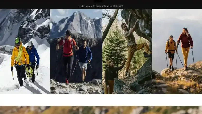 Screenshot of Non-Delivery scam website Shoppingsalewa.shop
