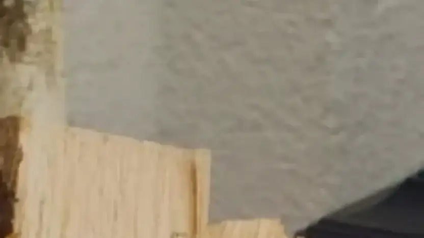 Screenshot of Non-Delivery scam website Shopwoodpellets.com