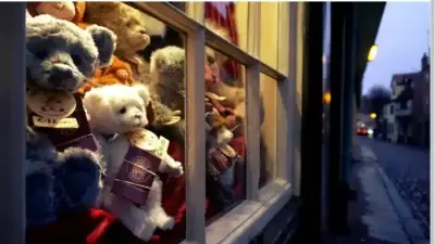 Screenshot of Non-Delivery scam website Shsung.shop