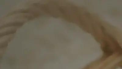 Screenshot of Non-Delivery scam website Silicondollsforsale.com