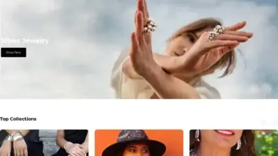 Screenshot of Non-Delivery scam website Silverwearco.com