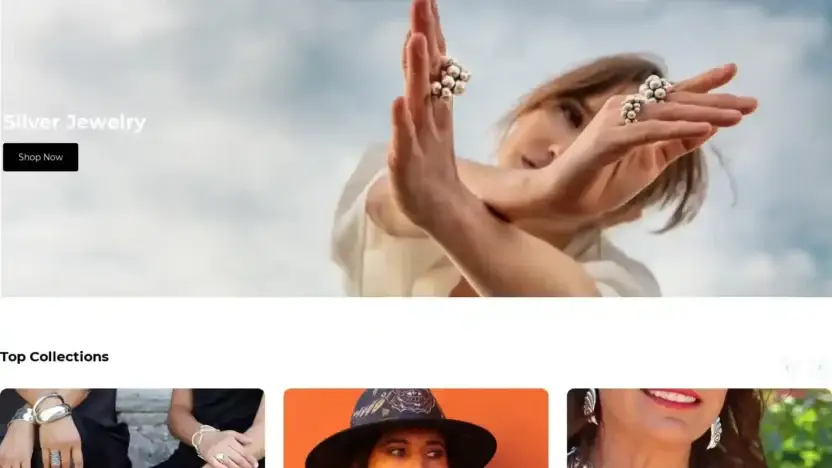 Screenshot of Non-Delivery scam website Silverwearco.com