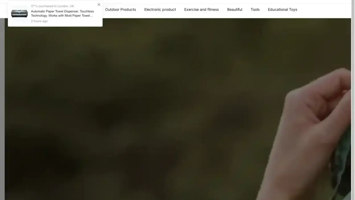 Screenshot of Non-Delivery scam website Sincerell.com