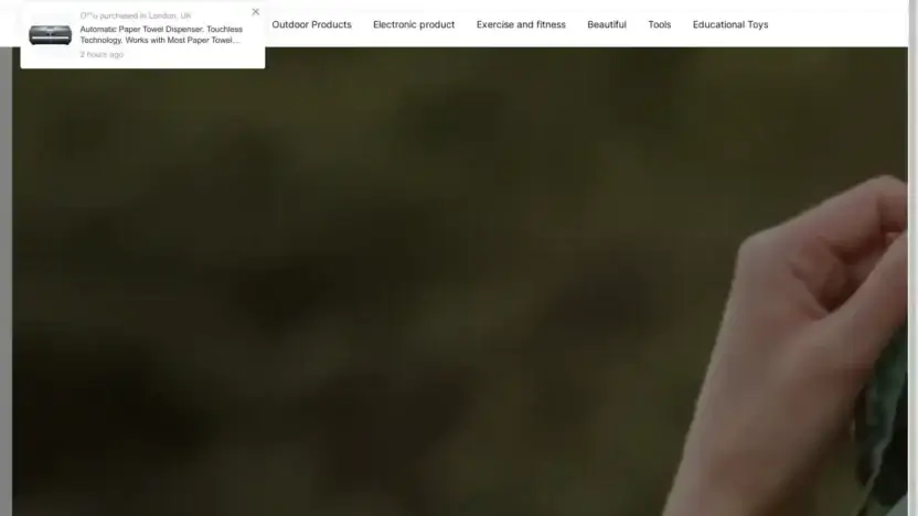 Screenshot of Non-Delivery scam website Sincerell.com