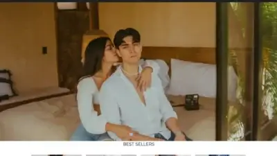 Screenshot of Non-Delivery scam website Sitefinery.com