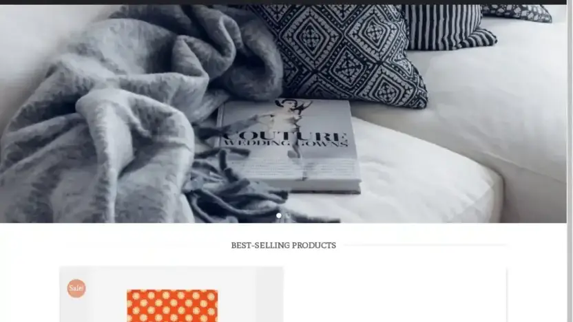 Screenshot of Non-Delivery scam website Slowtidestore.com