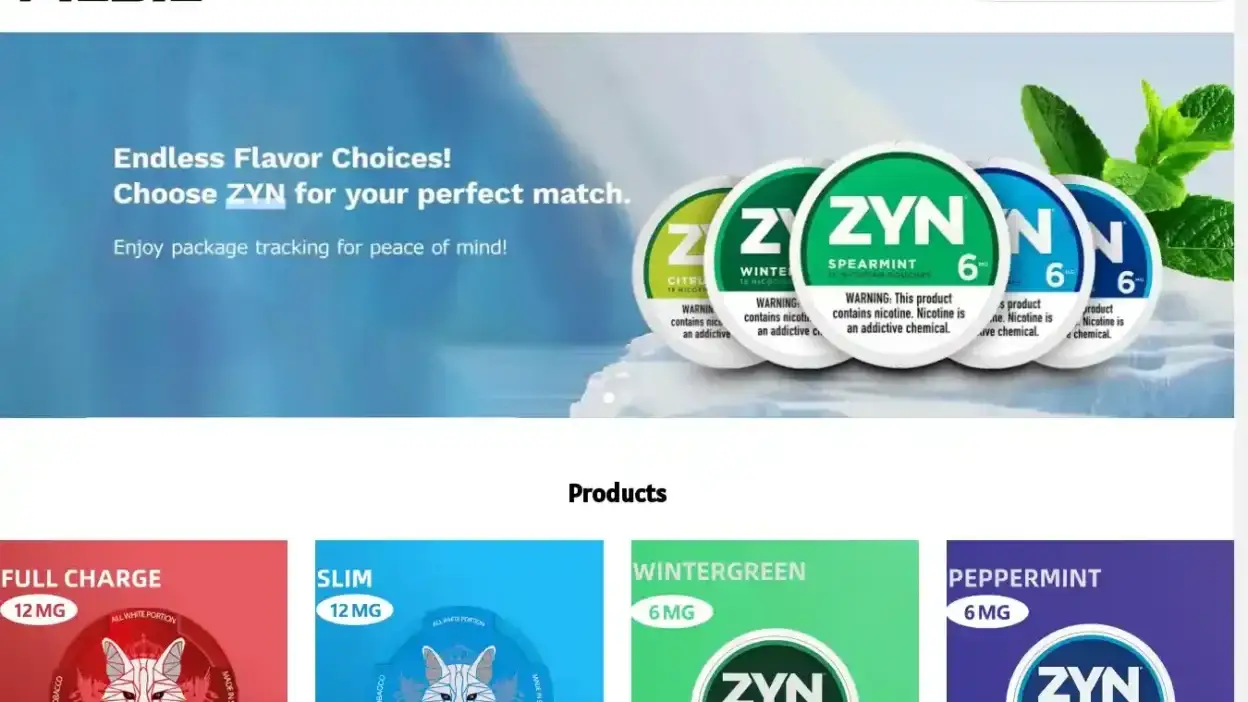 Screenshot of Non-Delivery scam website Snus-maker.com