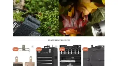 Screenshot of Non-Delivery scam website Soldelifeline.com