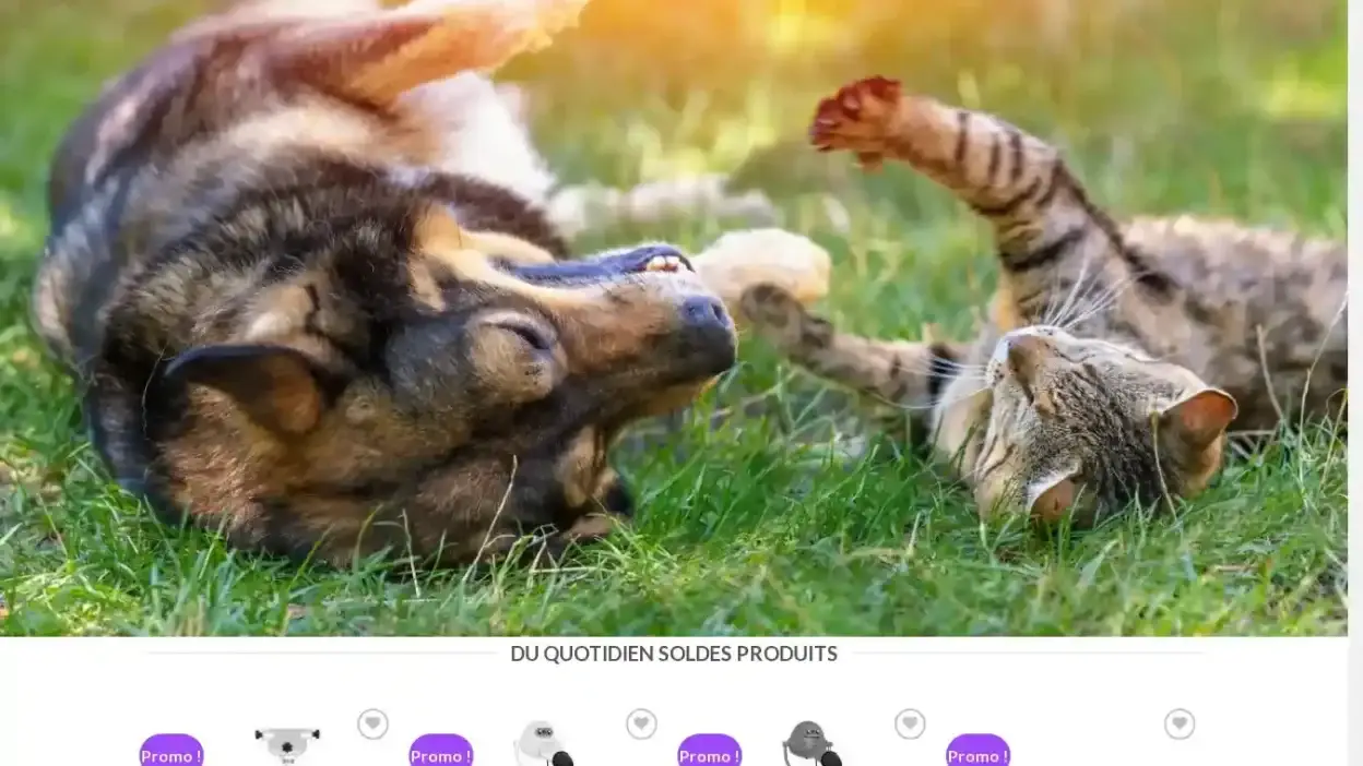 Screenshot of Non-Delivery scam website Soldesanimaux.com