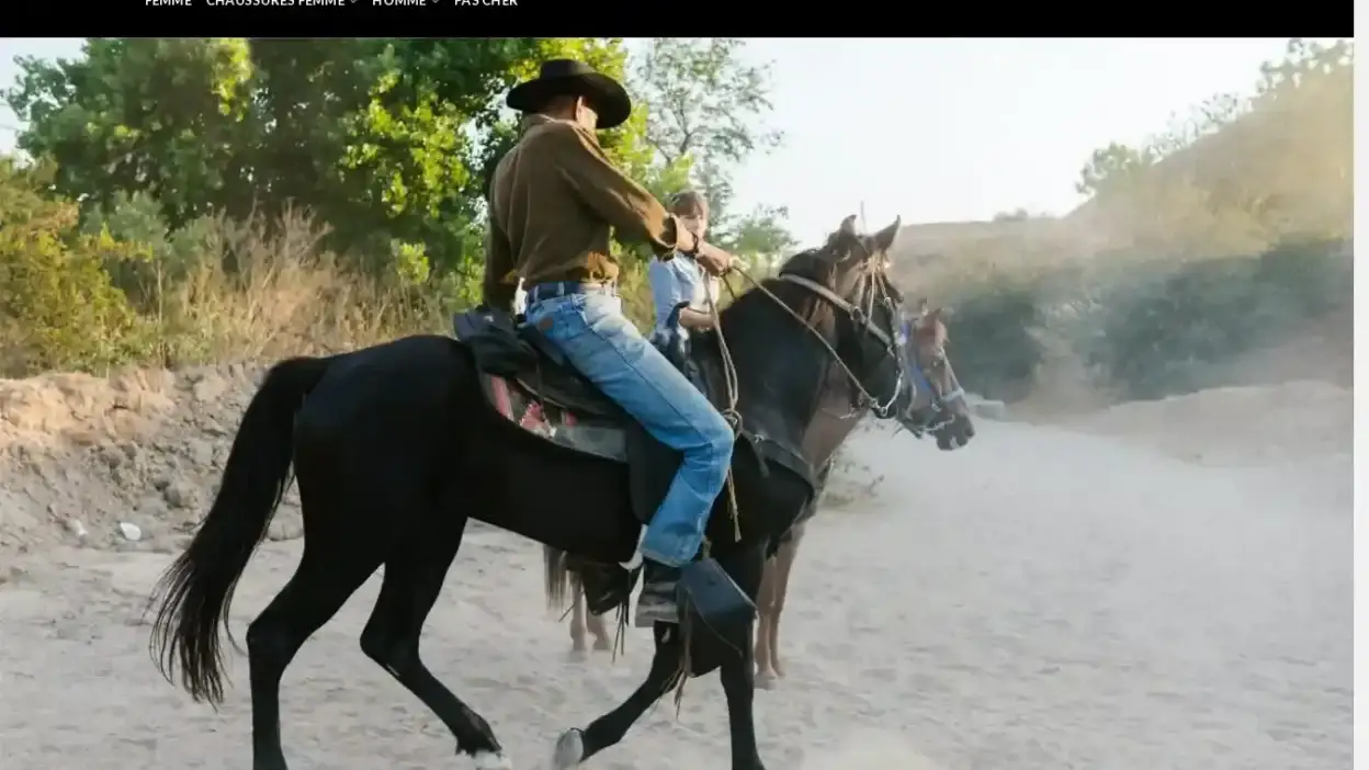 Screenshot of Non-Delivery scam website Soldesdenim.com