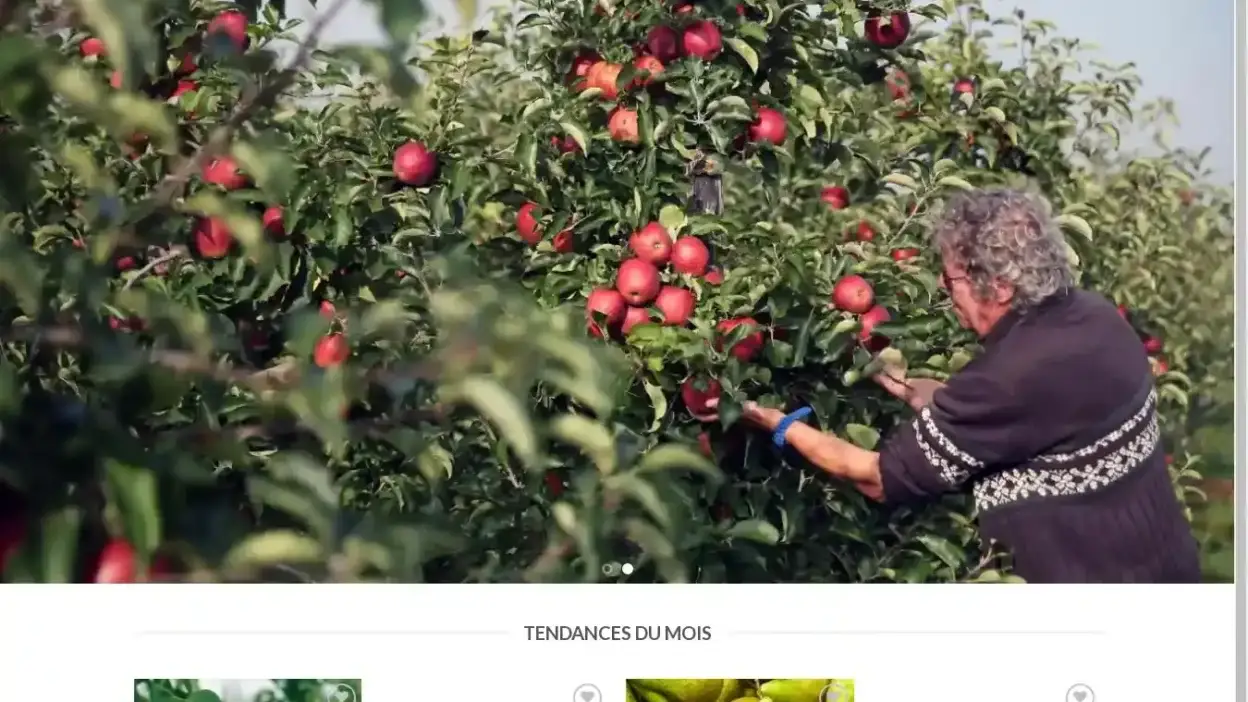 Screenshot of Non-Delivery scam website Soldesfruitiers.com