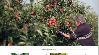 Screenshot of Non-Delivery scam website Soldesfruitiers.com