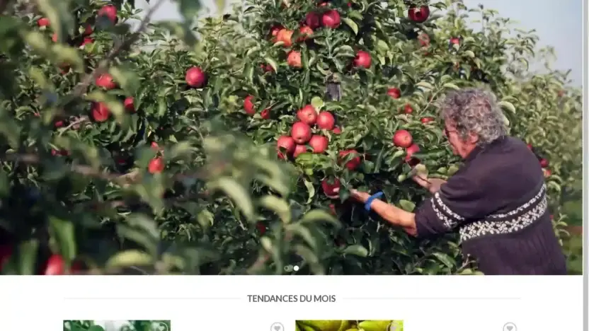 Screenshot of Non-Delivery scam website Soldesfruitiers.com