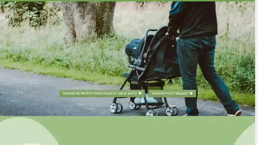 Screenshot of Non-Delivery scam website Soldesiegeauto.com